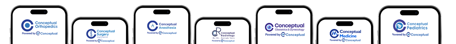 eConceptual Platform Phone Mock Up